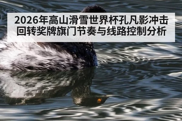 2026年高山滑雪世界杯孔凡影冲击回转奖牌旗门节奏与线路控制分析